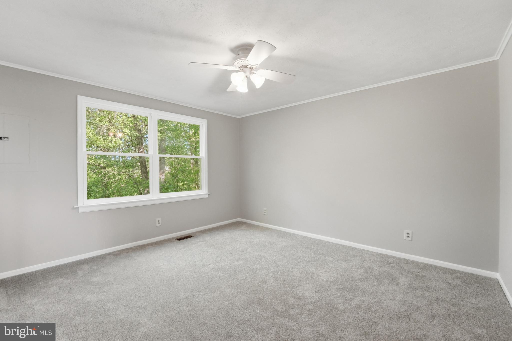 4512 True Blue Road Culpeper, VA 22701 - Photo 16 of 29