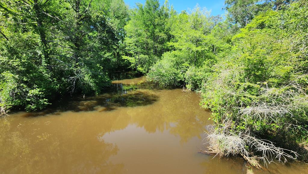 65-acres County Line Road Dothan, AL 36305 - Photo 5 of 37