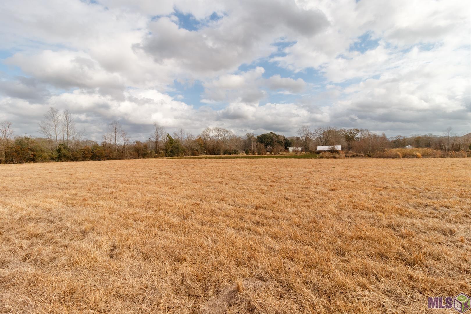 10854 Peairs Road Zachary, LA 70791 - Photo 19 of 20