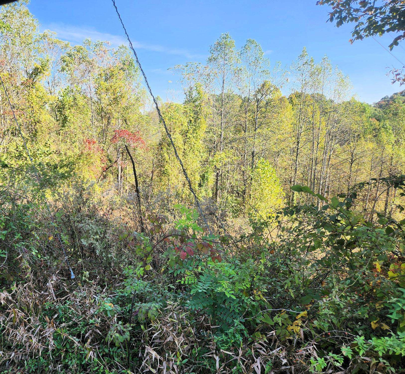 0 Kiser Fork Road Grayson, KY 41143 - Photo 44 of 48 Gallery Image 44