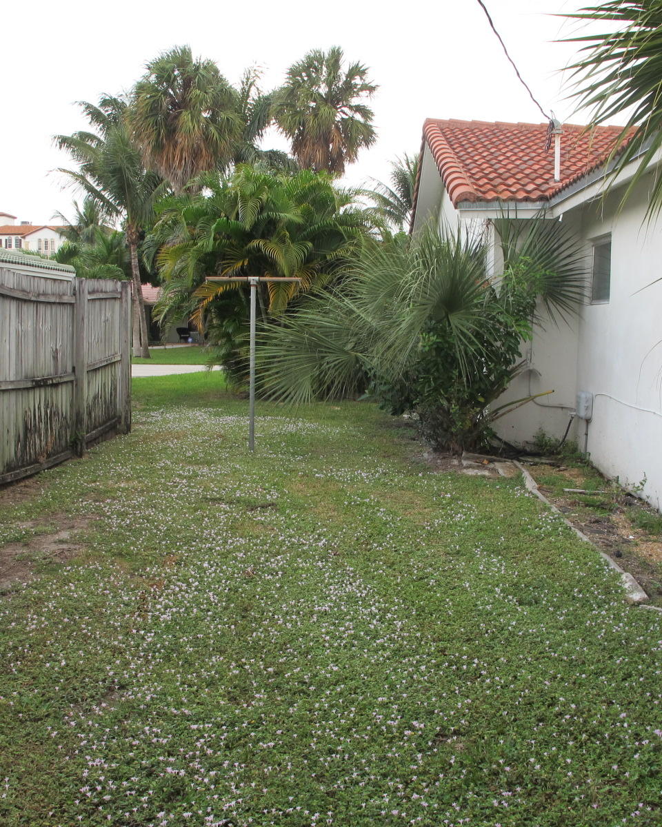 266 Southwest 12th Street Boca Raton, FL 33432 - Photo 33 of 34 Yard 3