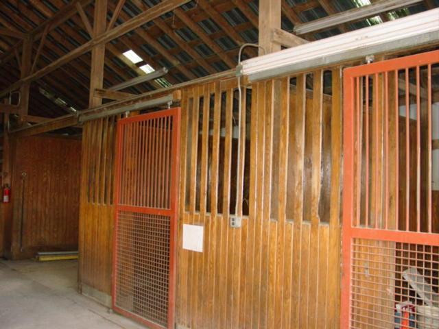 605 Shannon Run Road Versailles, KY 40383 - Photo 32 of 50 Photo 32