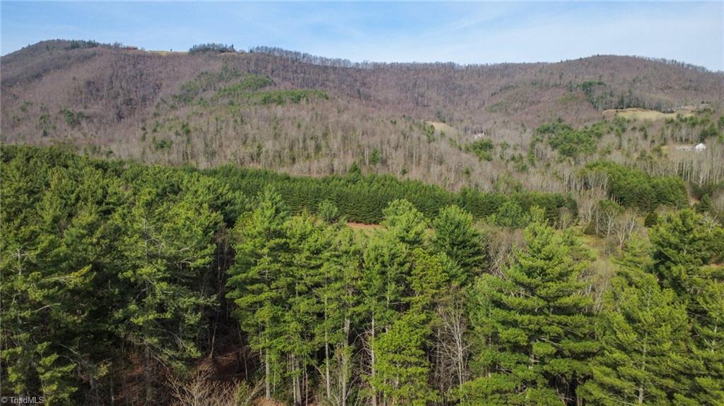 6414 Summit Road Purlear, NC 28665 - Photo 36 of 36