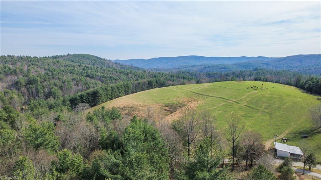 6414 Summit Road Purlear, NC 28665 - Photo 4 of 36