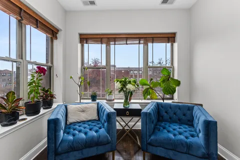 a living room with furniture and a potted plant