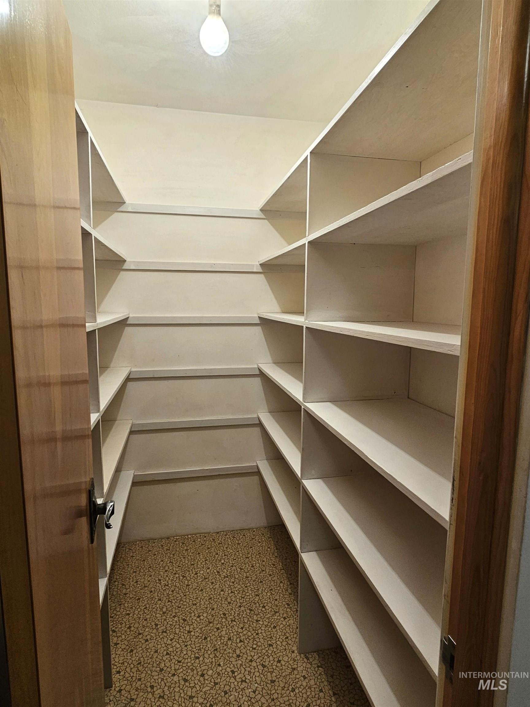 29865 Mission Creek Road Culdesac, ID 83524 - Photo 18 of 43 Walk-in pantry featuring extensive built-in shelving, durable flooring, and an overhead light fixture
