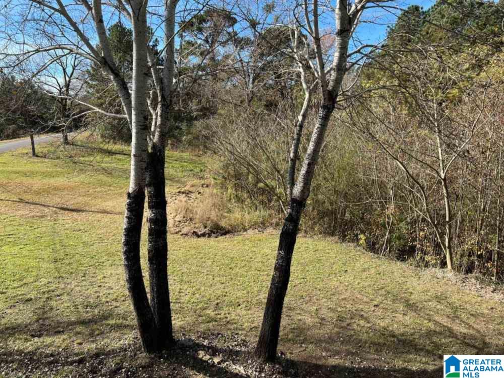 152 Nichols Road Leeds, AL 35094 - Photo 15 of 16