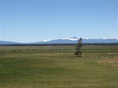 1 Bear Flt Road Chiloquin, OR 97624 - Photo 1 of 6 Primary Photo