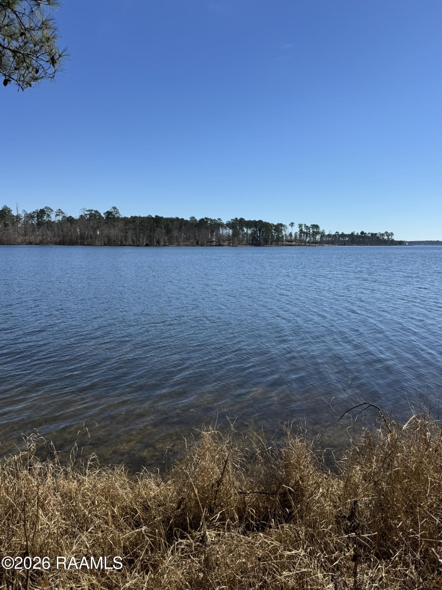 Lot 13 Ramsey Road Chatham, LA 71226 - Photo 2 of 5