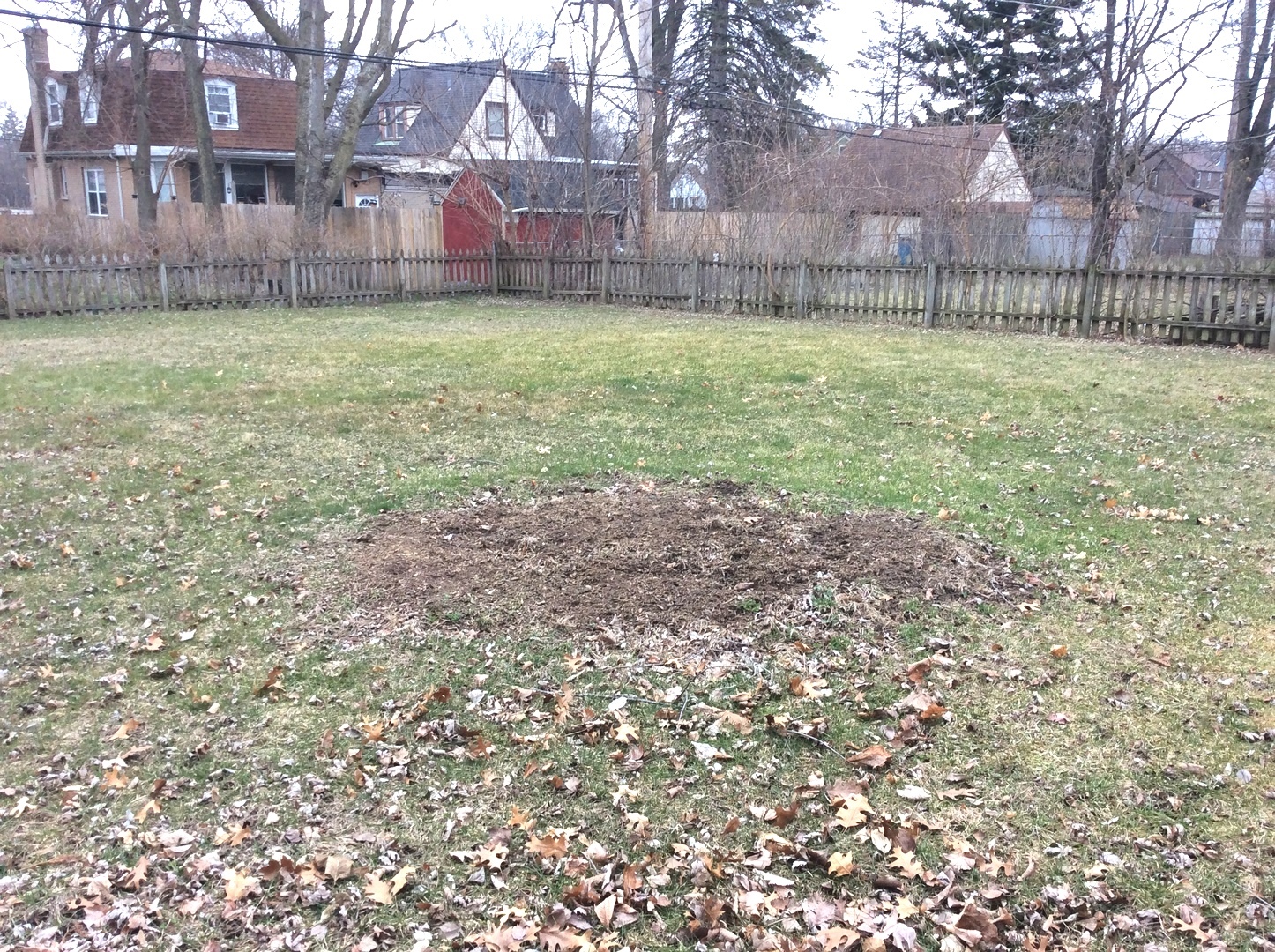 1436 Evergreen Road Homewood, IL 60430 - Photo 29 of 32 a view of a yard with a house and a large tree