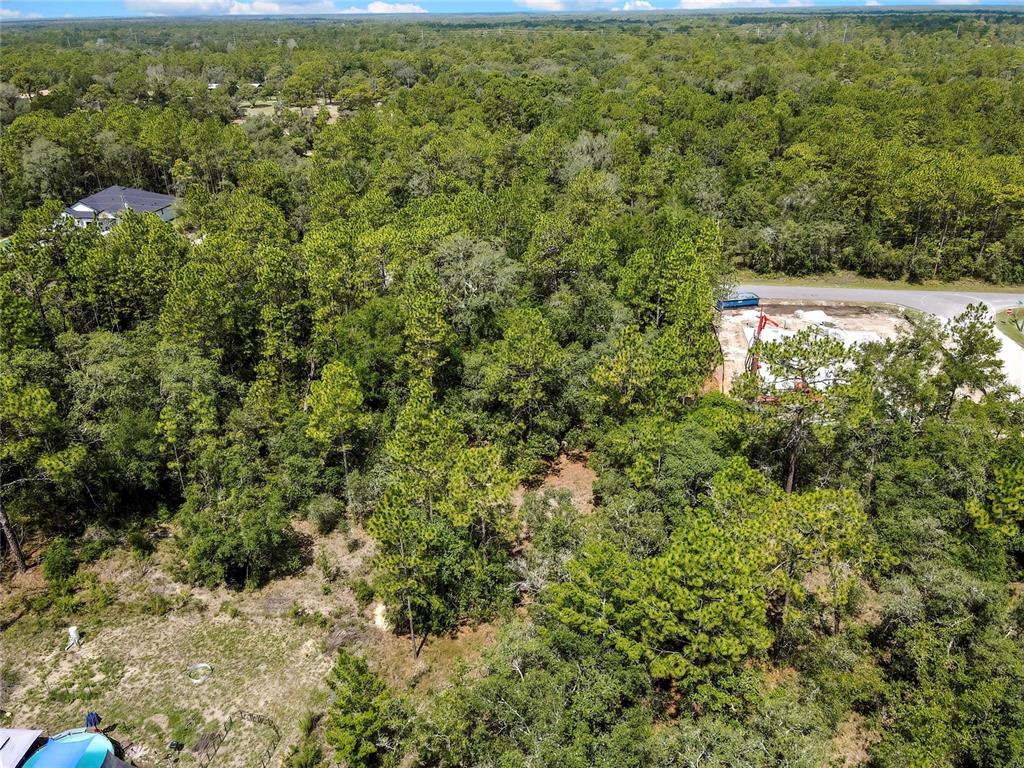 0 English Sparrow Road Weeki Wachee, FL 34614 - Photo 10 of 13 Gallery Image 10