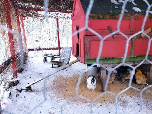 $420,000 | E2044 770th Avenue, Knapp, WI 54749