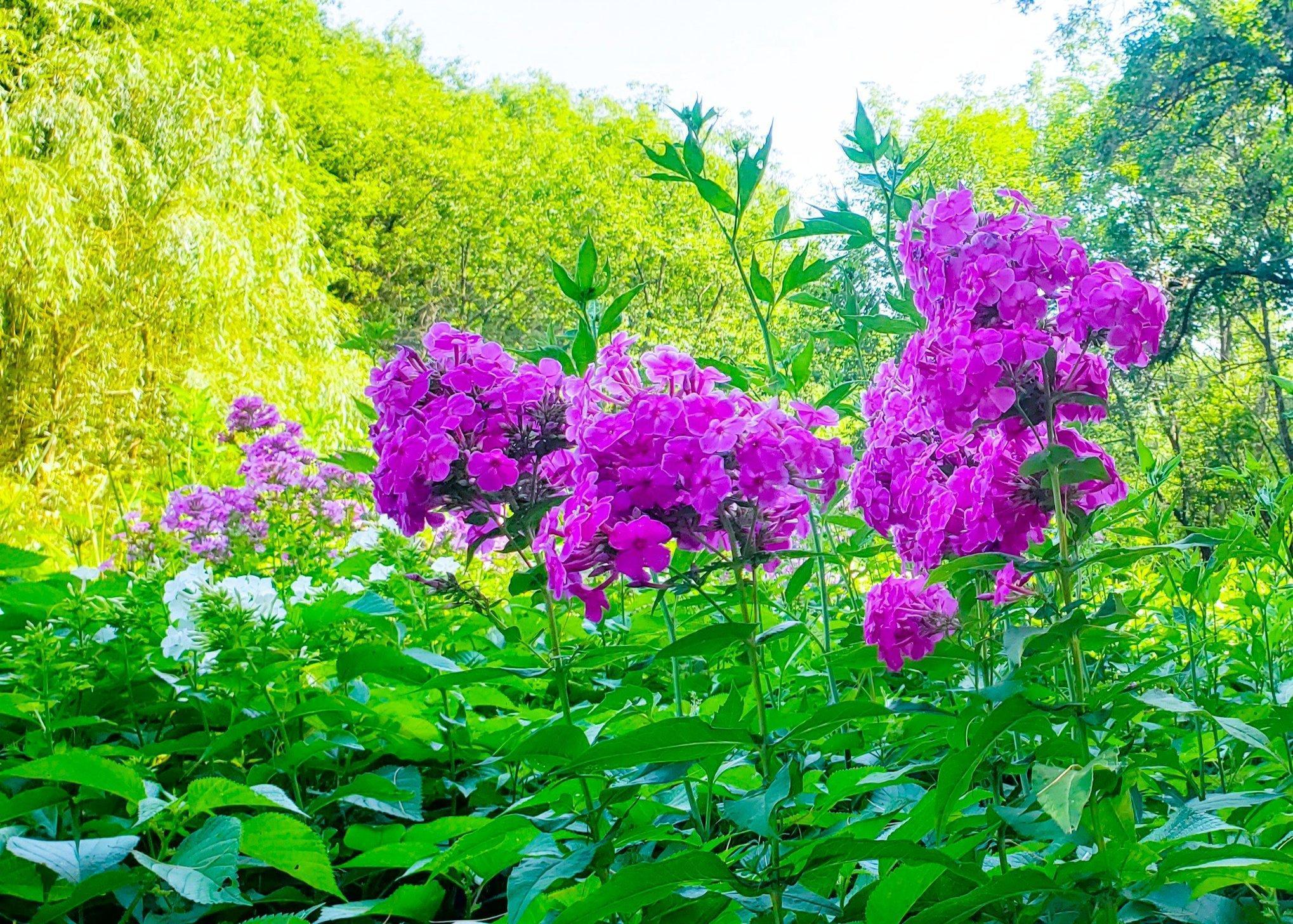 E2044 770th Avenue Knapp, WI 54749 - Photo 48 of 70