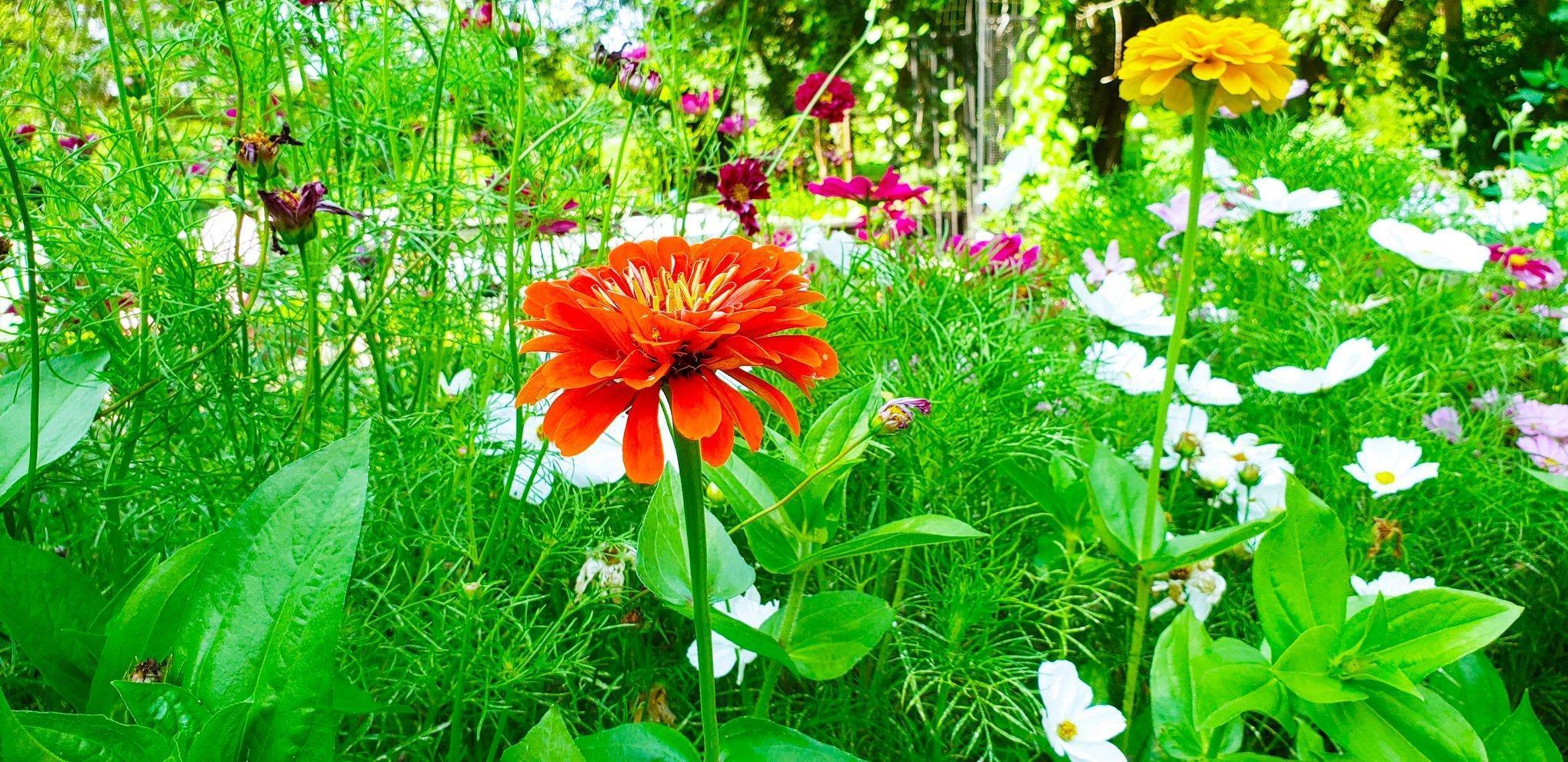 E2044 770th Avenue Knapp, WI 54749 - Photo 50 of 70