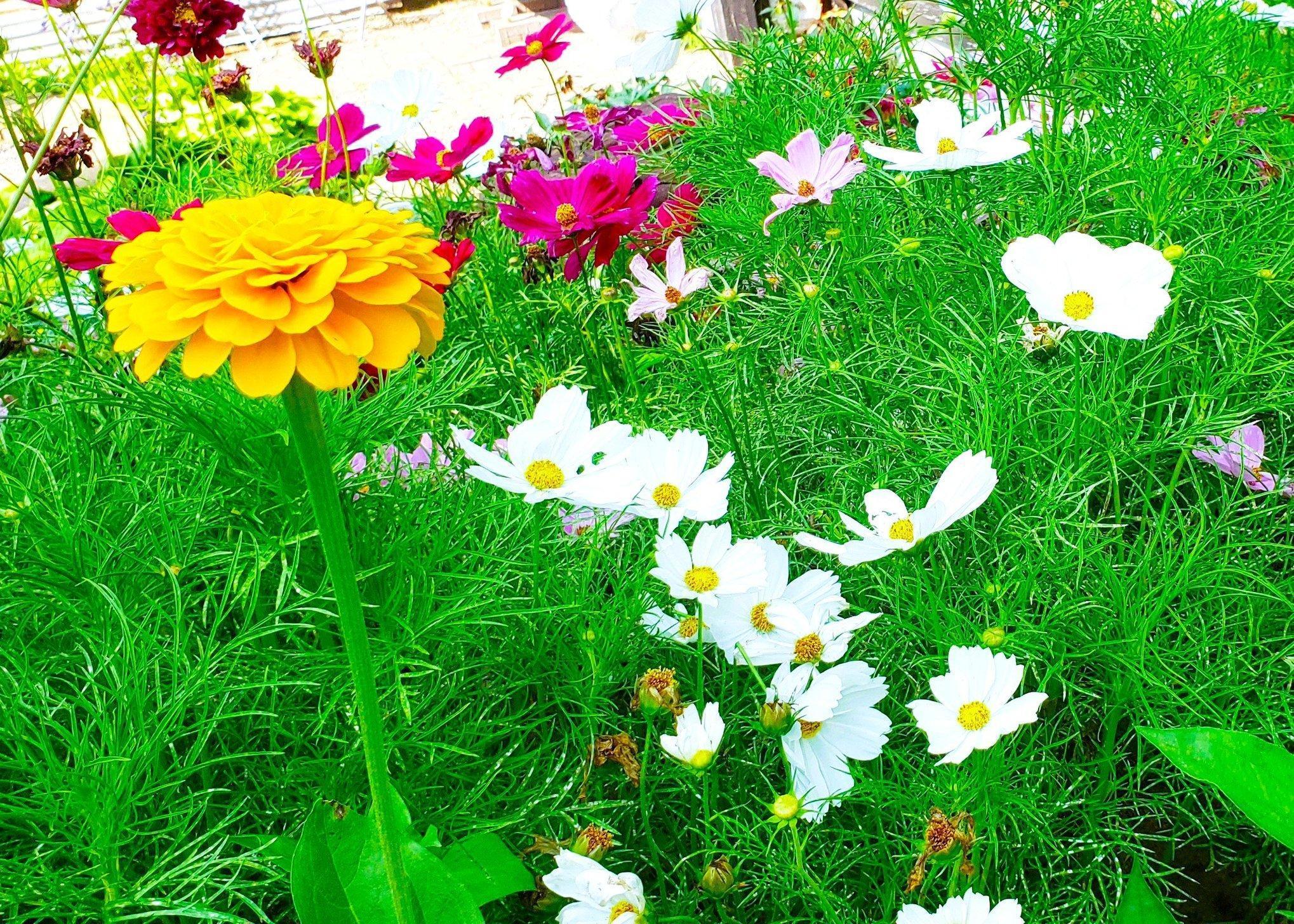 E2044 770th Avenue Knapp, WI 54749 - Photo 5 of 70