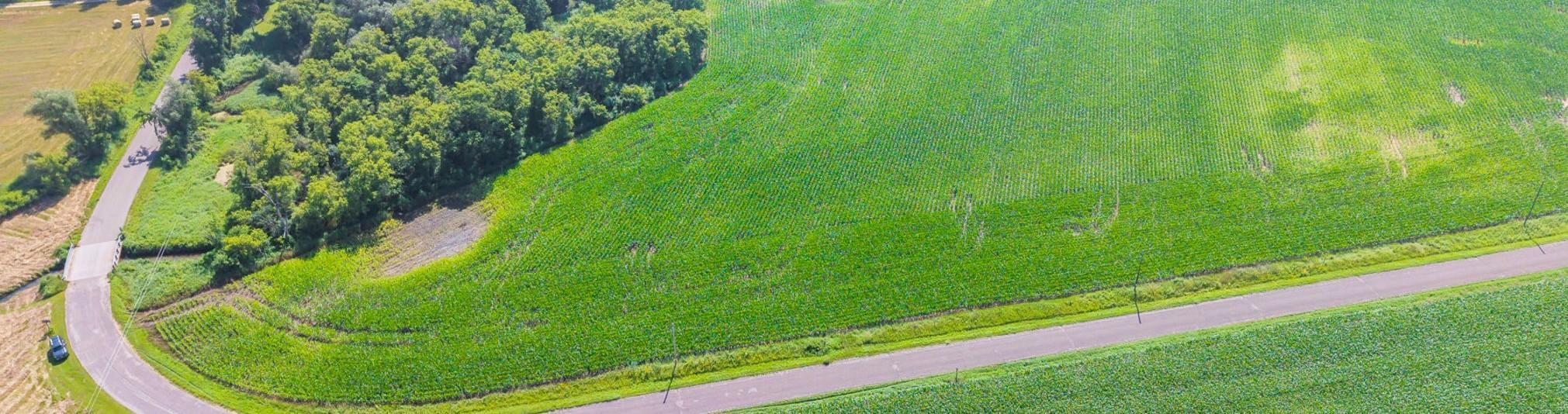 E2044 770th Avenue Knapp, WI 54749 - Photo 59 of 70