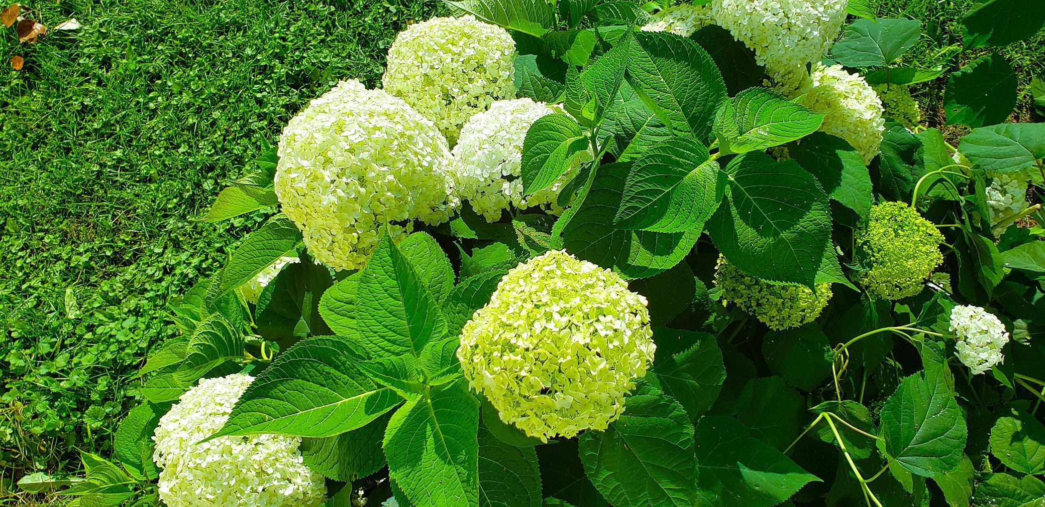 E2044 770th Avenue Knapp, WI 54749 - Photo 68 of 70