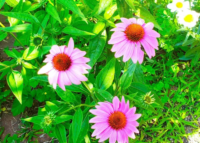 $420,000 | E2044 770th Avenue, Knapp, WI 54749