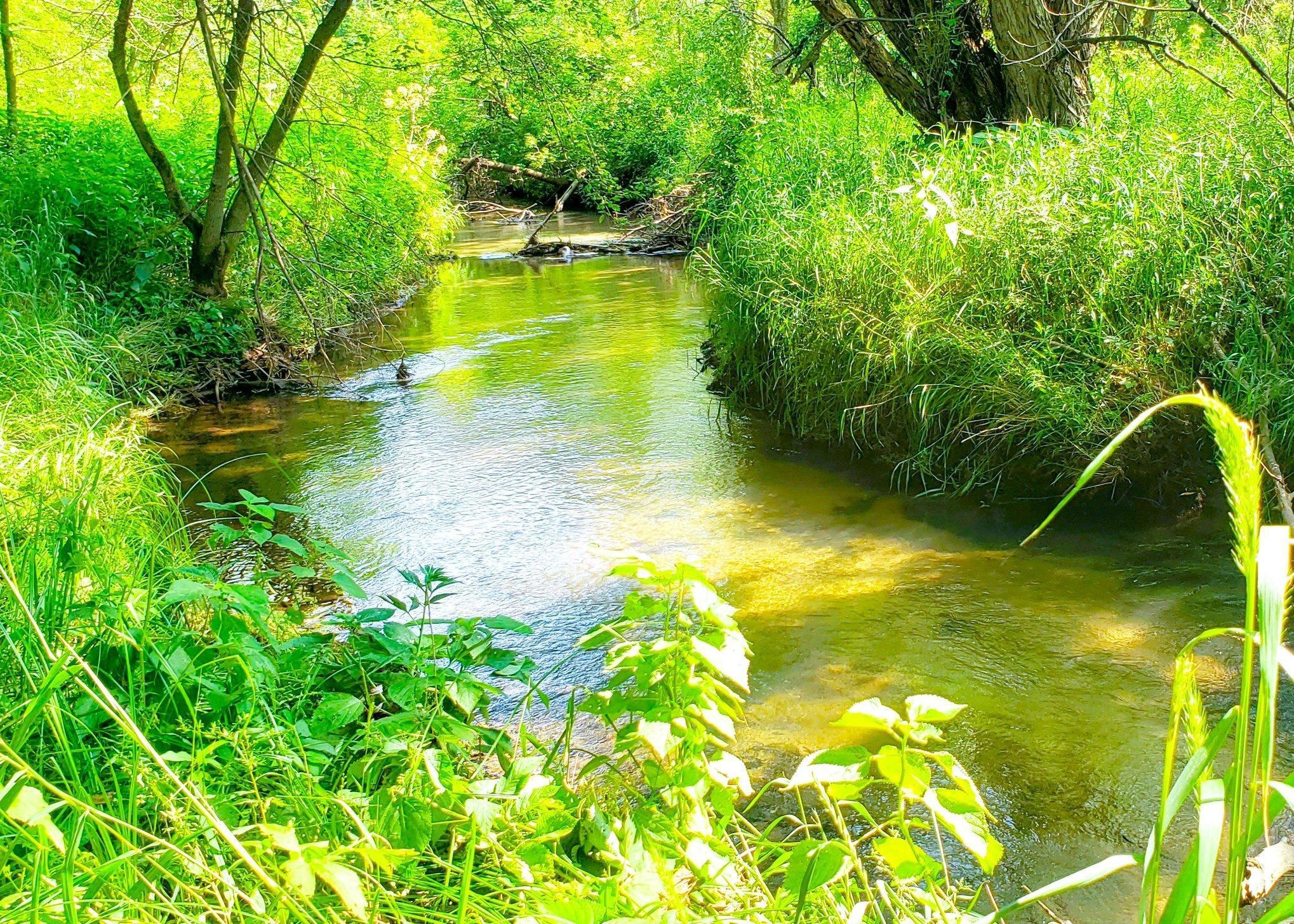 E2044 770th Avenue Knapp, WI 54749 - Photo 9 of 70