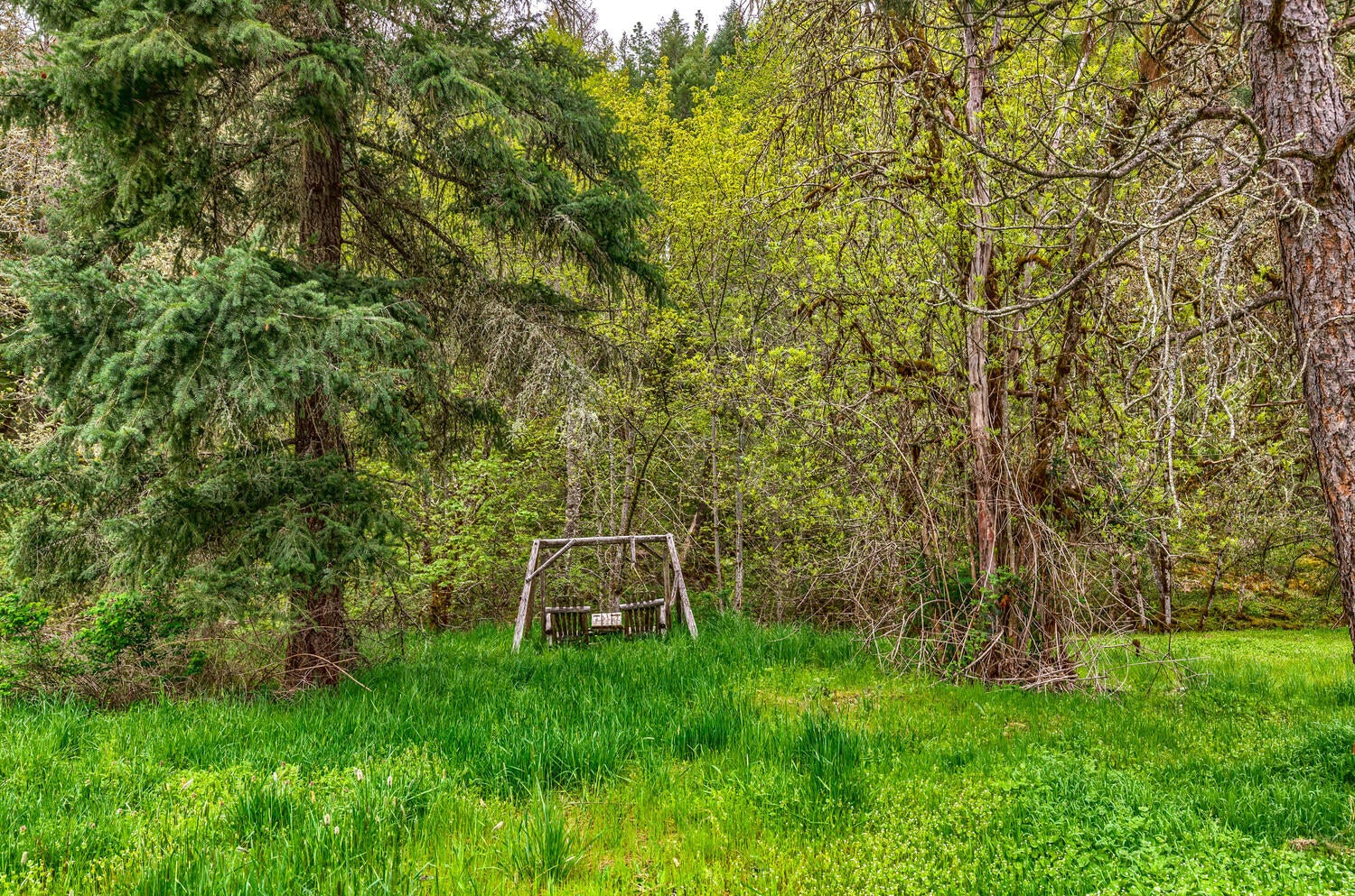 344 Elk Creek Road Trail, OR 97541 - Photo 12 of 43 38_ApexVTec_38_mls