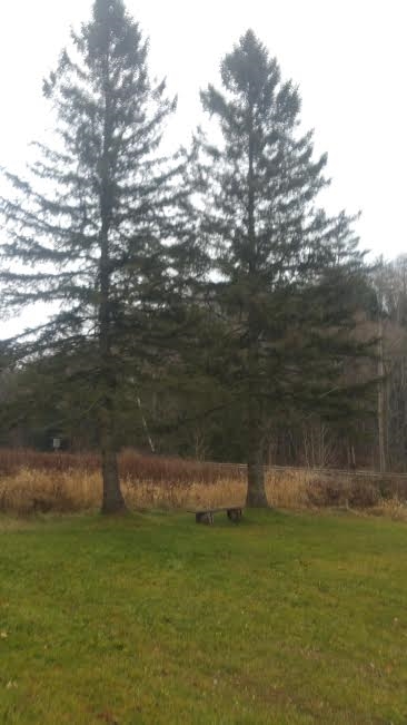 1715 Red Village Road Lyndon, VT 05851 - Photo 10 of 40 Gallery Image 10