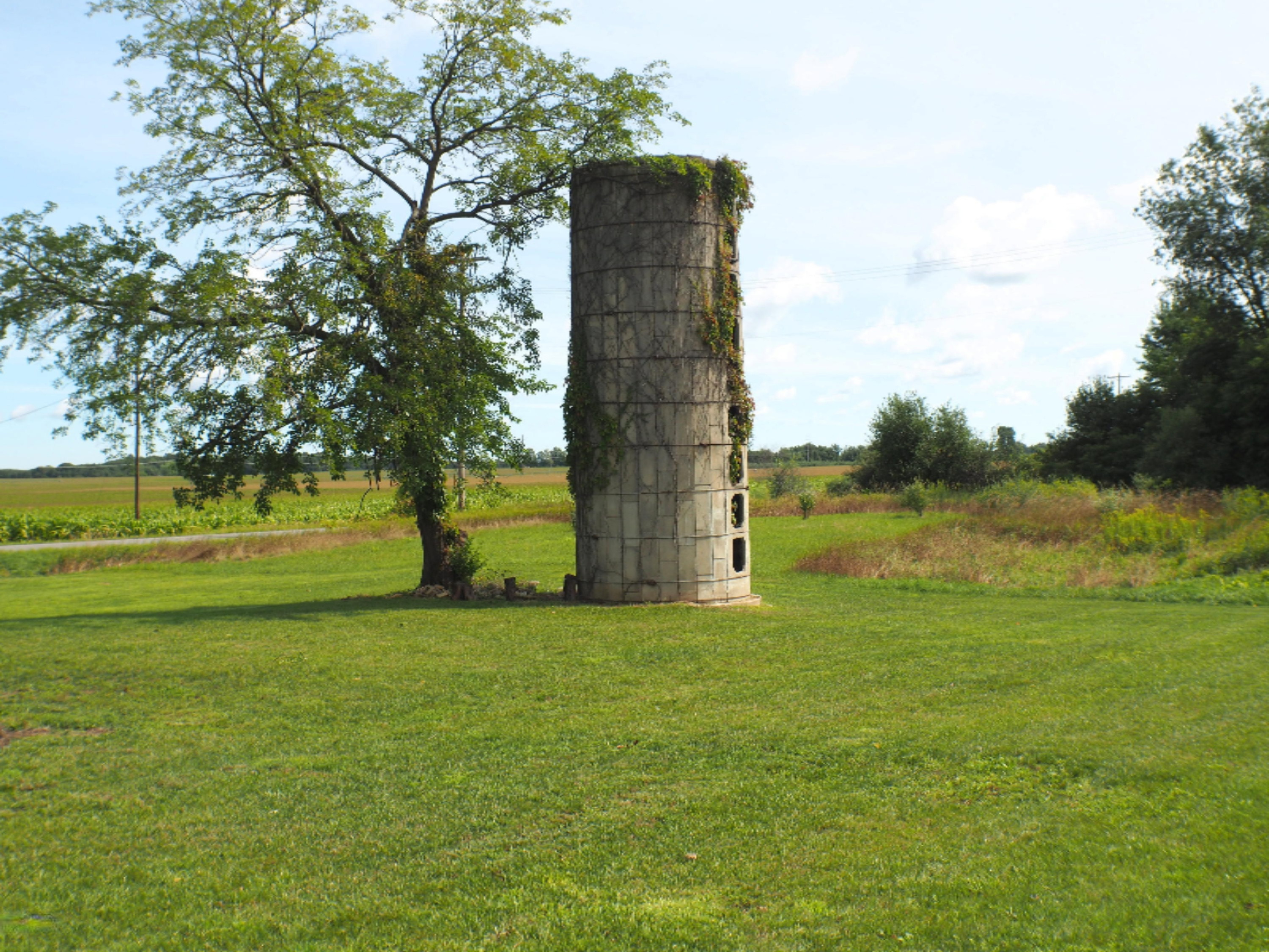 13846 Heffron Road Northeast Belding, MI 48809 - Photo 32 of 36 old silo