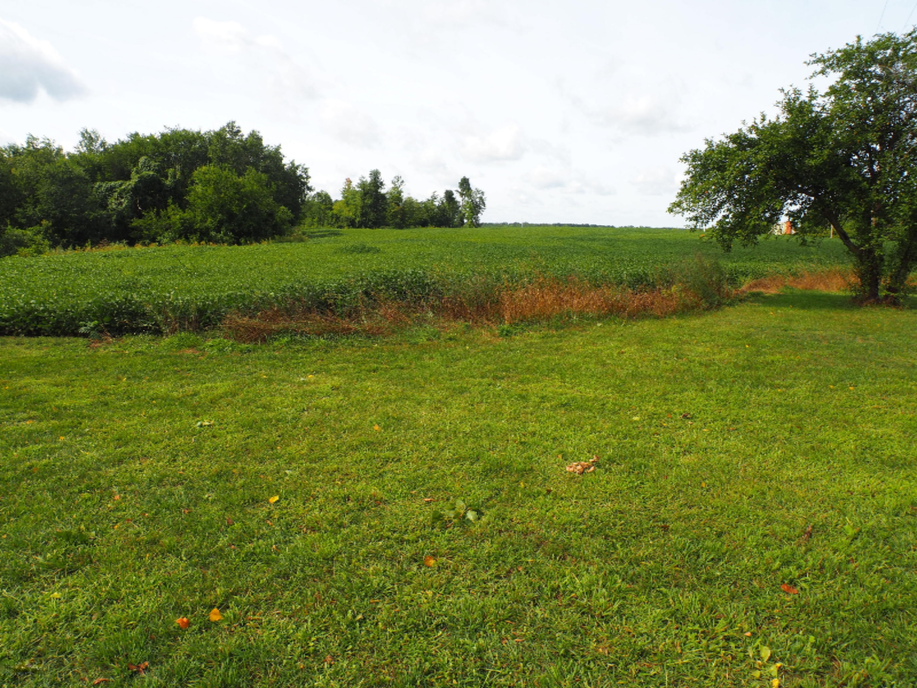 13846 Heffron Road Northeast Belding, MI 48809 - Photo 34 of 36 backyard view