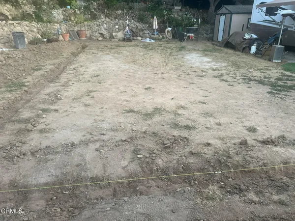 a view of a yard with a tree