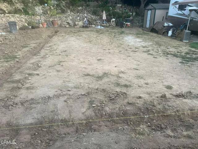 a view of a yard with a tree