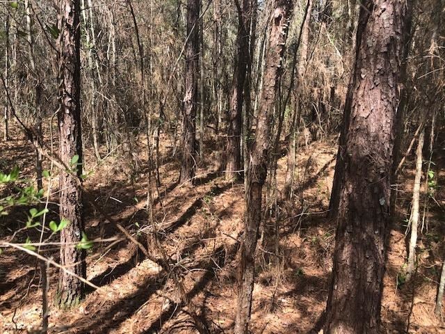 5-ac Dyess Dairy Road Opp, AL 36467 - Photo 10 of 13 Gallery Image 10