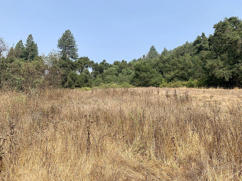 0 Two Two Bar Road Boulder Creek, CA 95006 - Photo 31 of 70 Gallery Image 31