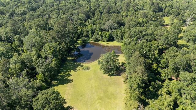 11205 Lee Settlement Road Folsom, LA 70437 - Photo 43 of 49