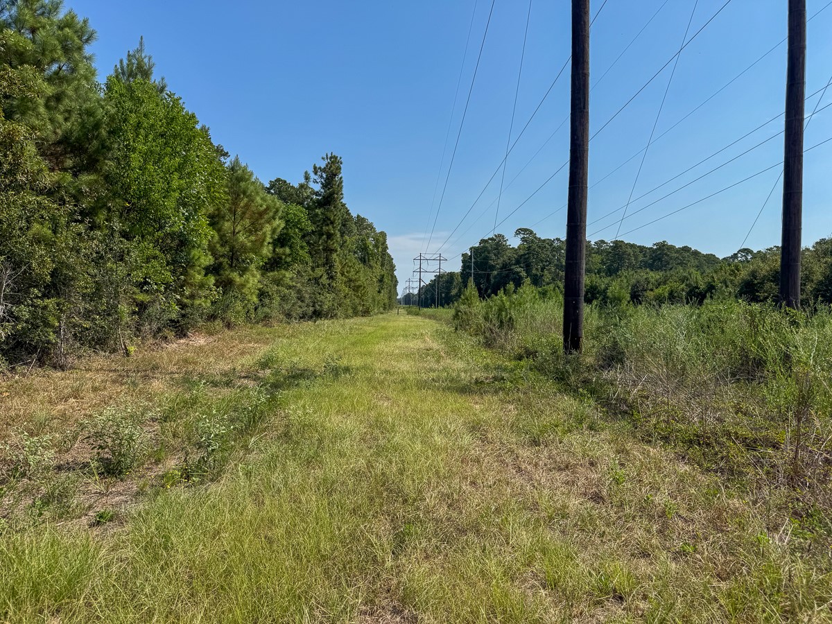 0 Johnson Road Huntsville, TX 77320 - Photo 21 of 29 Gallery Image 21