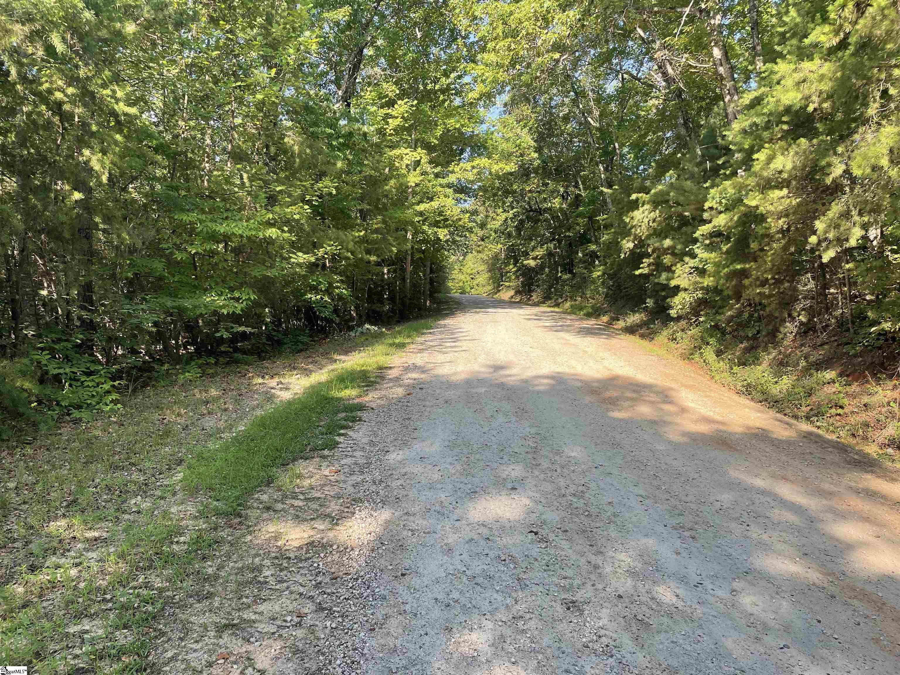 0 Whitewater Point Road, Unit TRACT 6 Tamassee, SC 29686 - Photo 20 of 22 Gallery Image 20