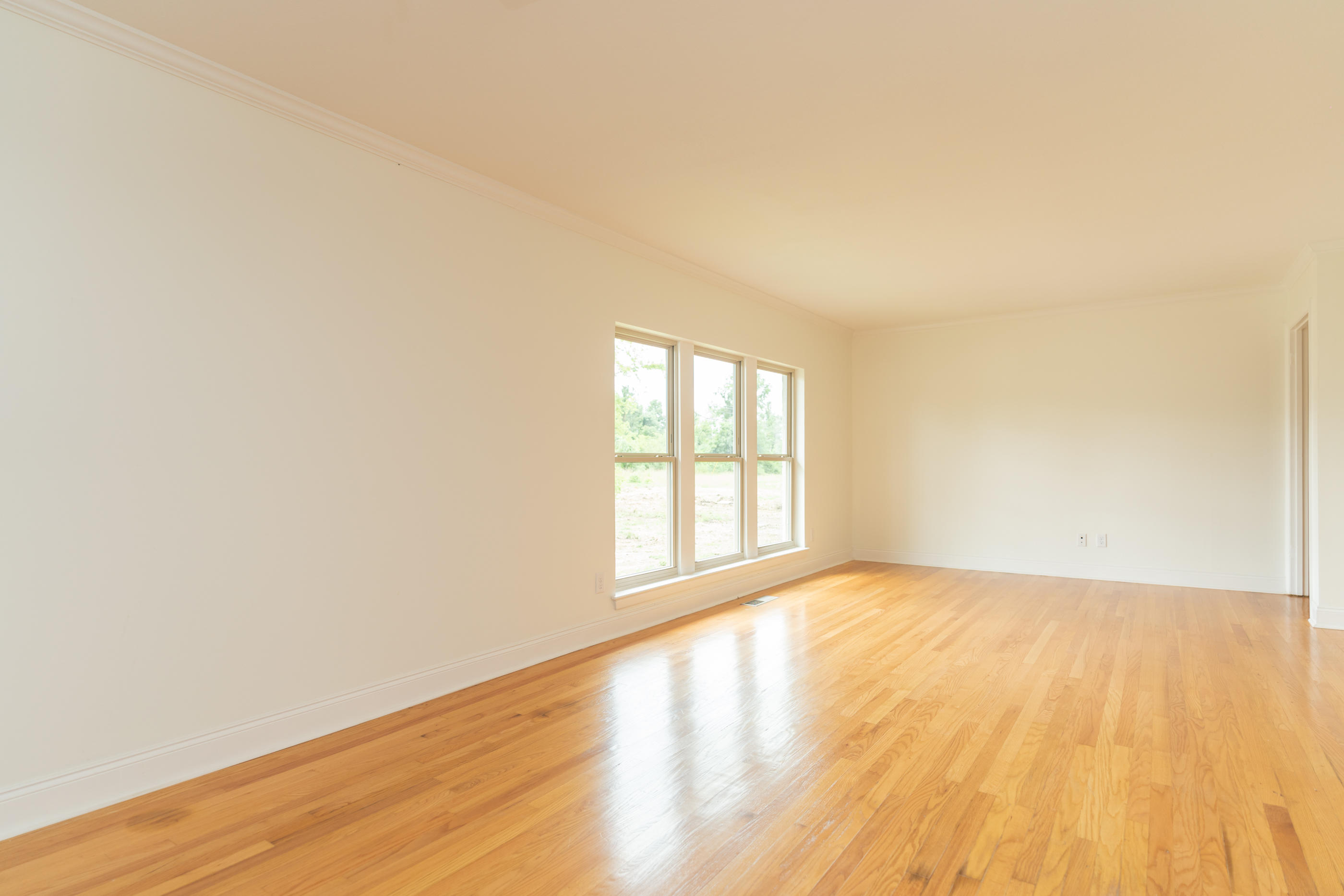 2236 Tristram Road Chattanooga, TN 37421 - Photo 11 of 50 untitled-11