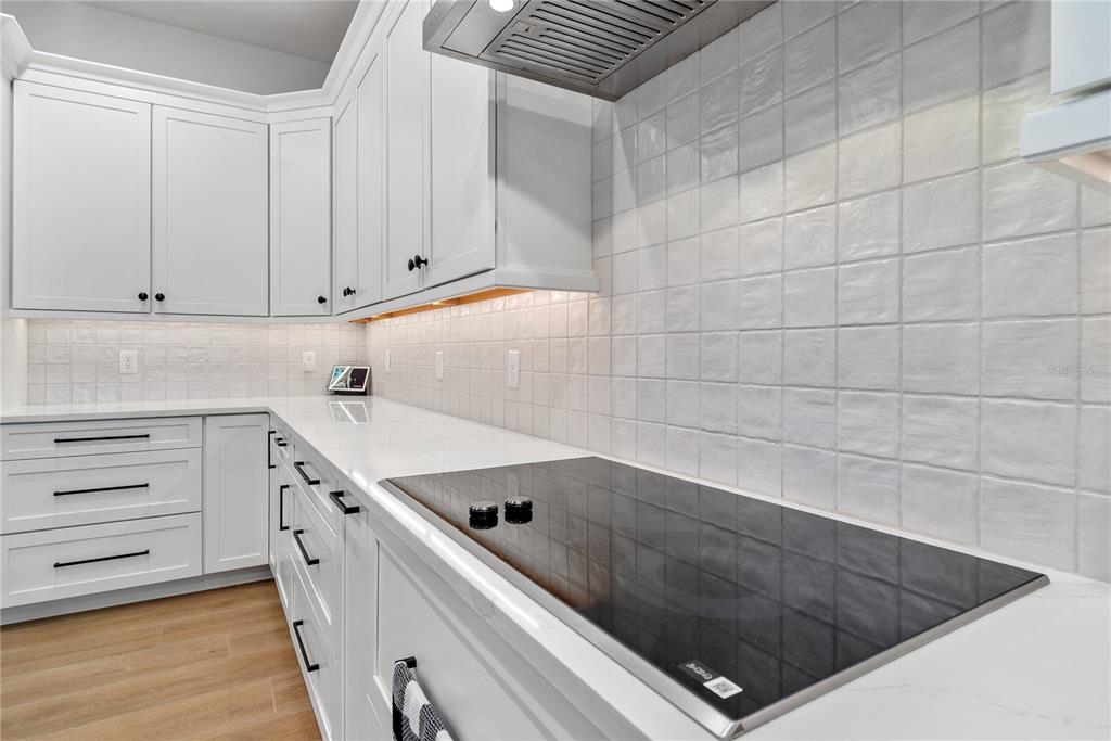 4428 East Shirley Shores Road Tavares, FL 32778 - Photo 14 of 41