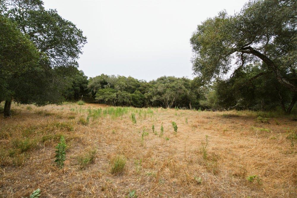 0 Valle Pacifico Road Salinas, CA 93907 - Photo 29 of 45