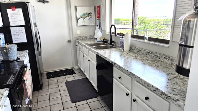 a view of a garden with palm trees