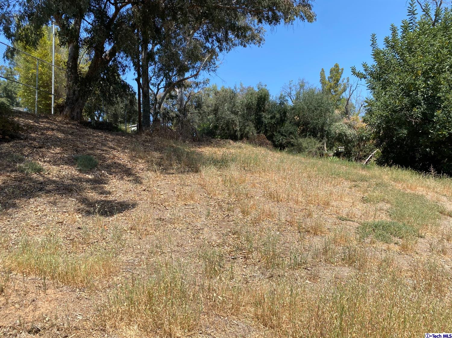 1609 Rueda Drive Los Angeles, CA 90042 - Photo 6 of 8 a view of a yard with a tree