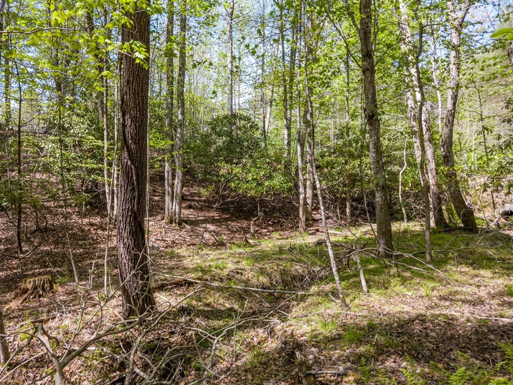 Lot 11 Ridge Line Trail, Unit 11 Independence, VA 24348 - Photo 17 of 40 Gallery Image 17