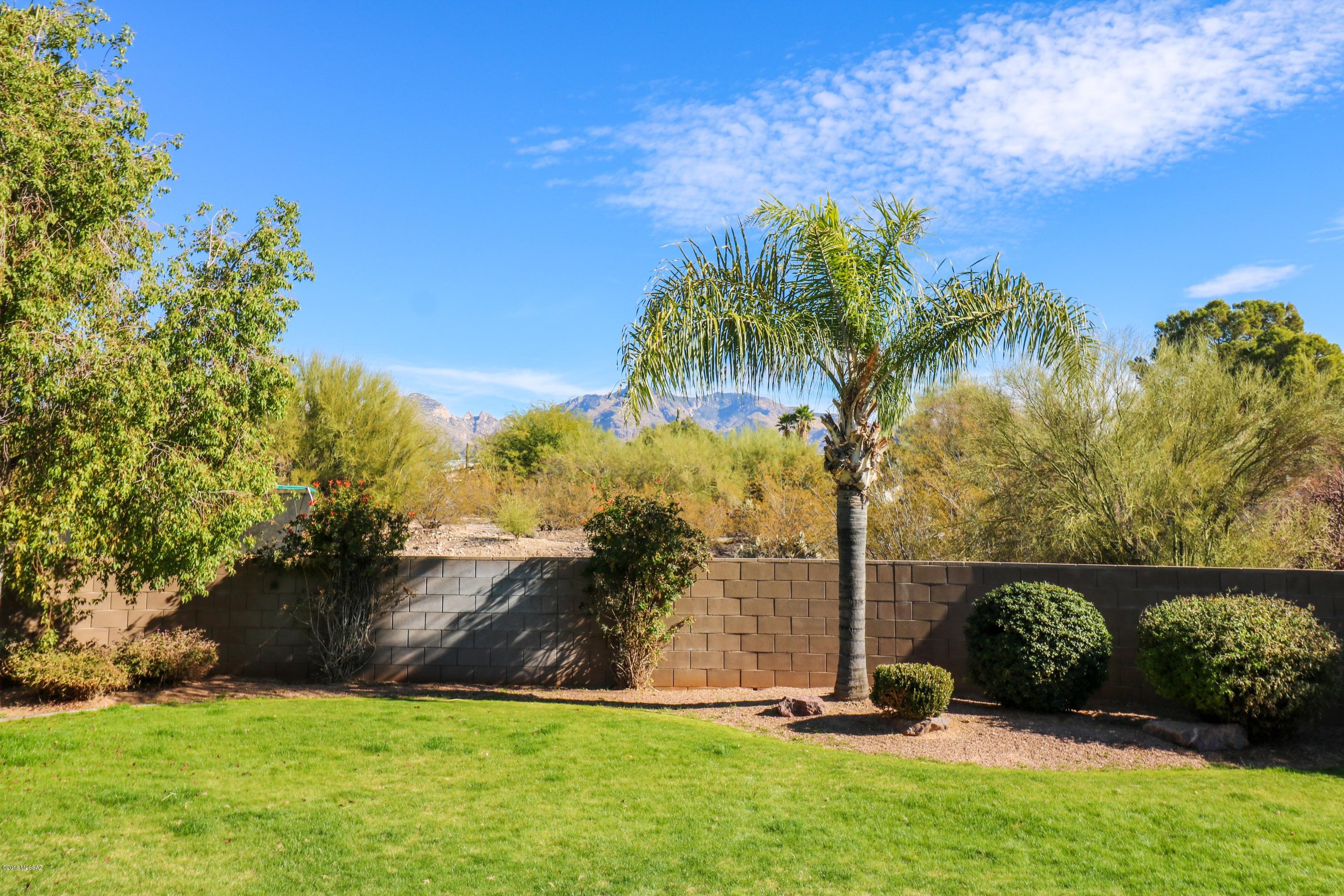 779 West Panorama Road Tucson, AZ 85704 - Photo 12 of 22 Gallery Image 12