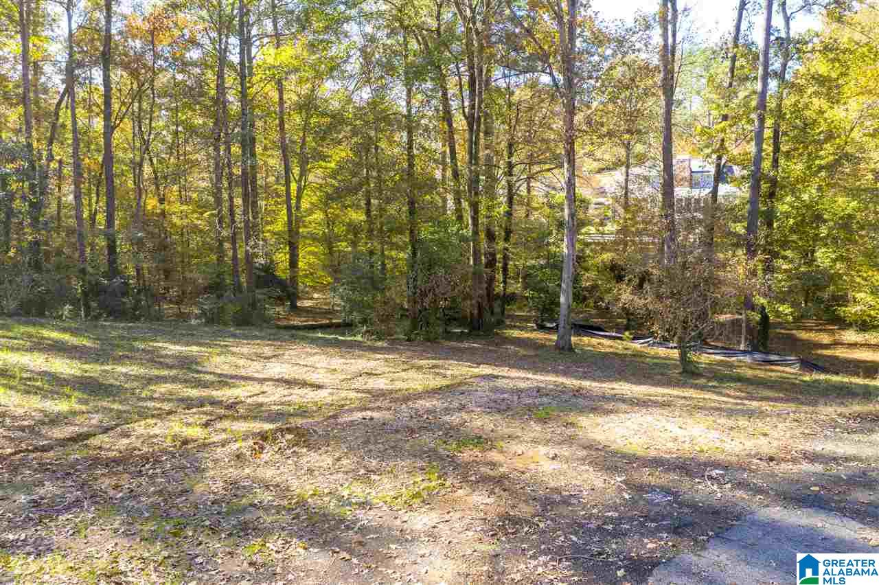 2612 Millwood Road, Unit 6 Birmingham, AL 35243 - Photo 4 of 21