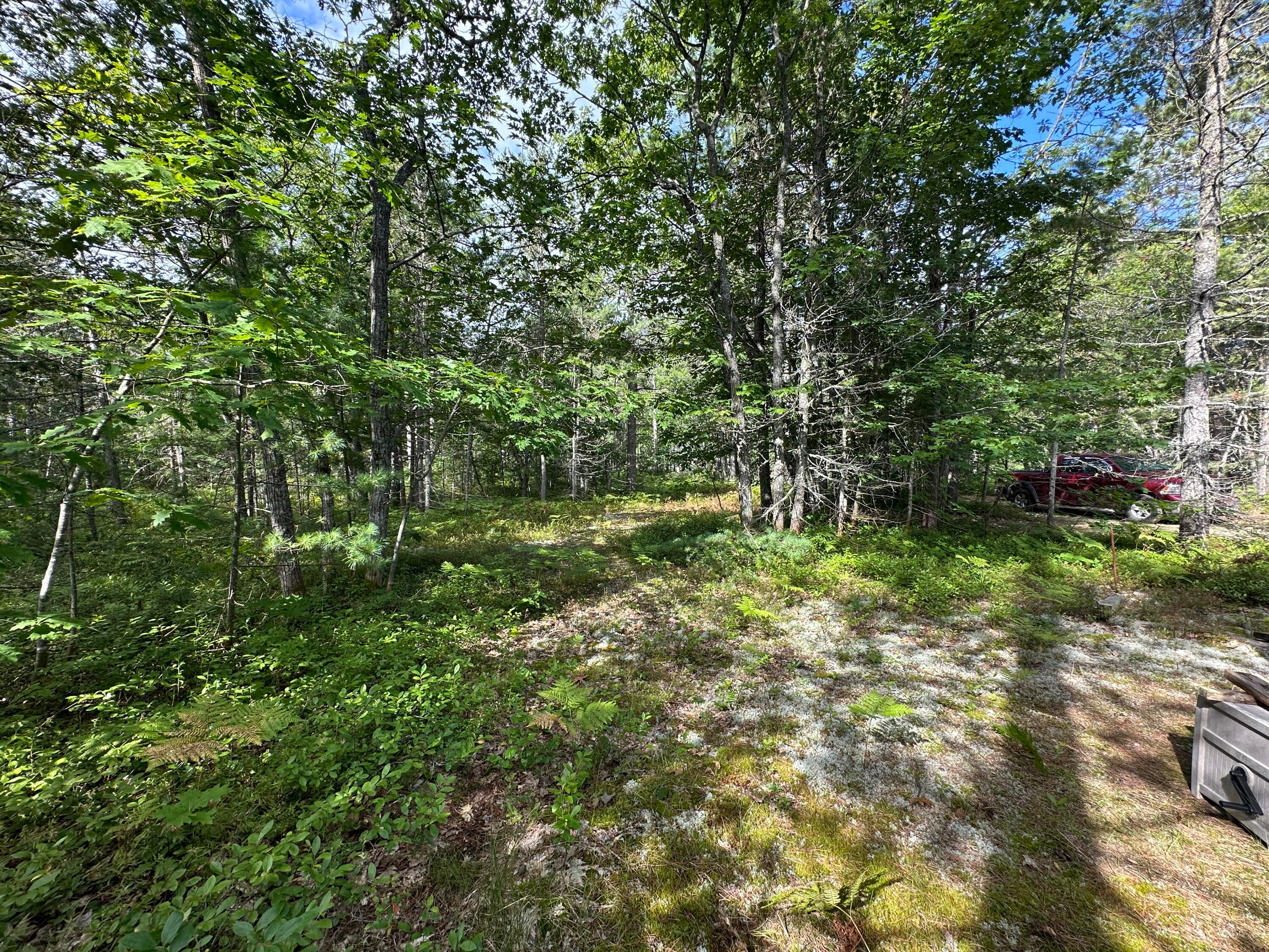 32098 West Pal Road Paradise, MI 49768 - Photo 10 of 38 Gallery Image 10