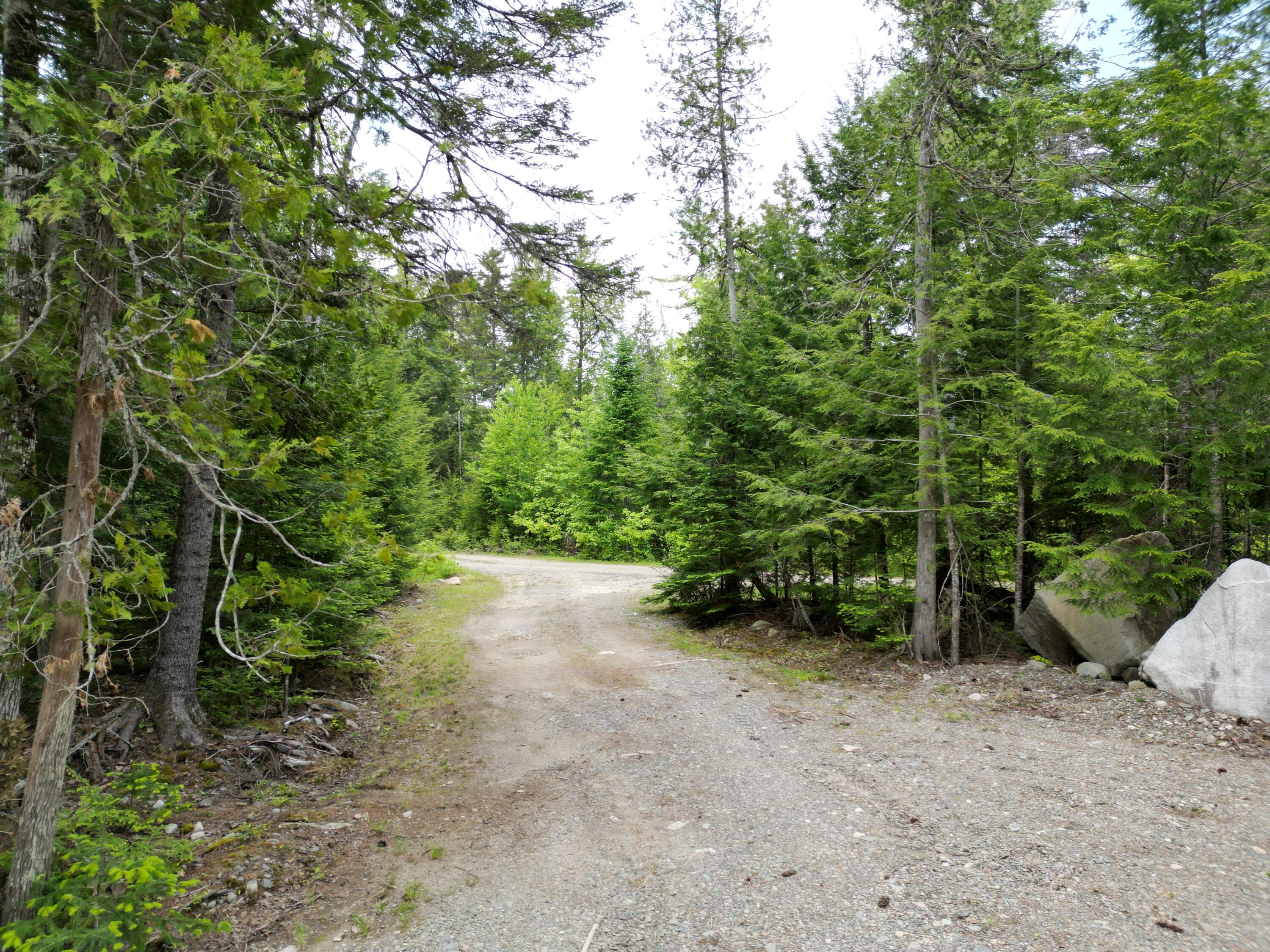 121 Loop Road Lincoln, ME 04457 - Photo 31 of 35 DJI_0175