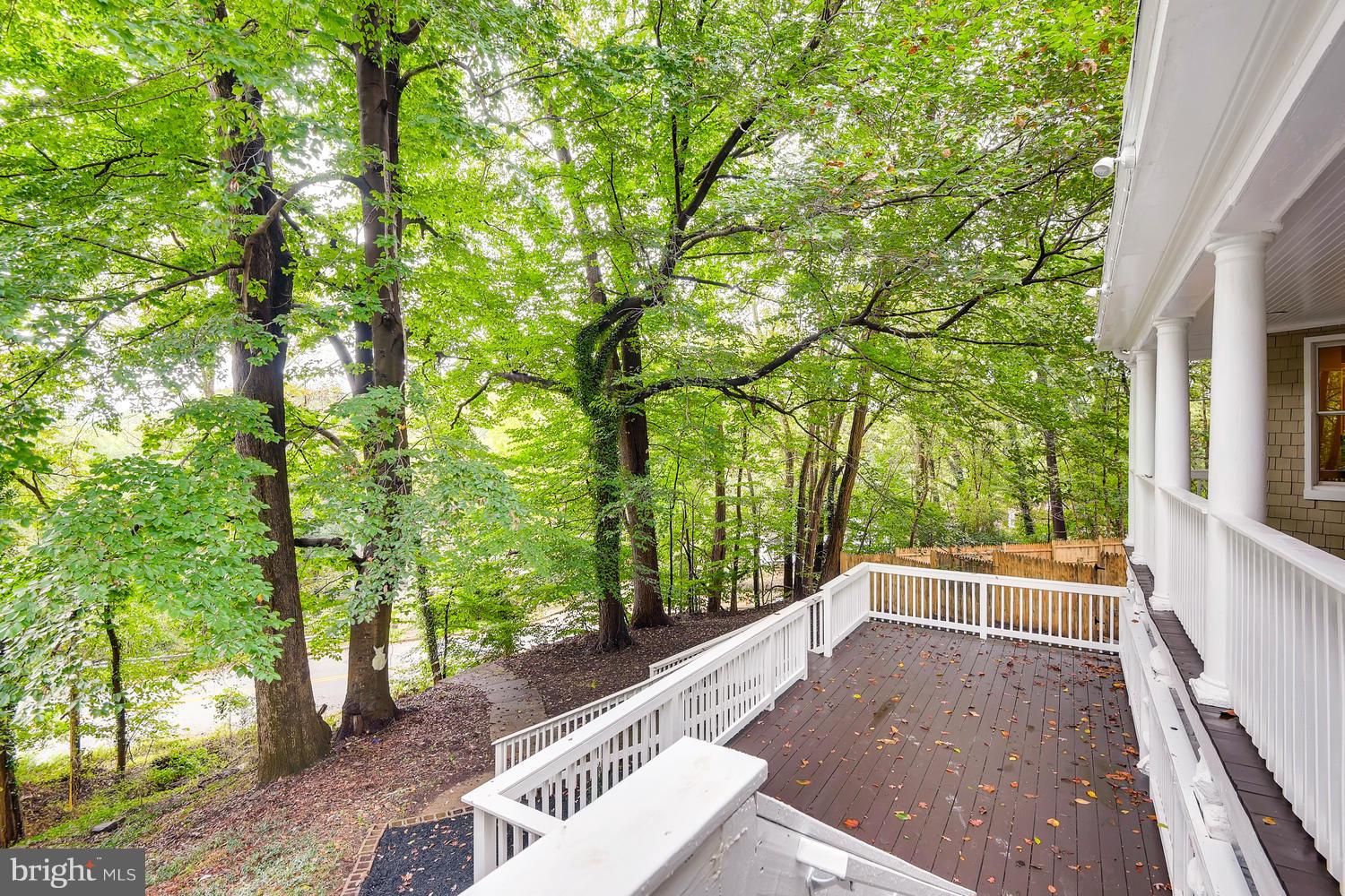 2612 Talbot Road Baltimore, MD 21216 - Photo 29 of 33 a view of backyard with large trees