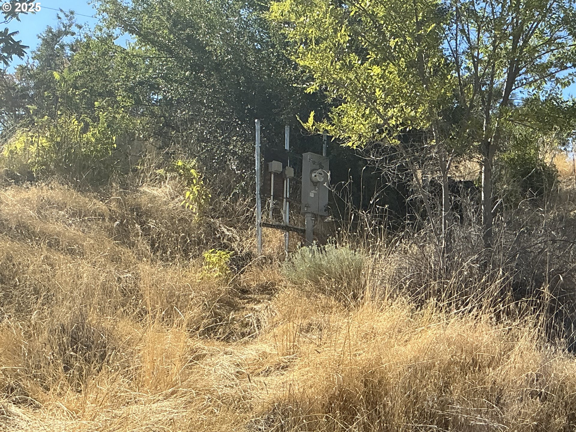 0 South Highway 197 Maupin, OR 97037 - Photo 5 of 14