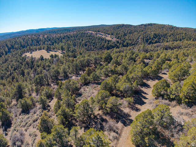 1955 West Mammoth Crk Road Hatch, UT 84735 - Photo 24 of 52 Expansive wooded terrain featuring mature evergreen trees and natural clearings