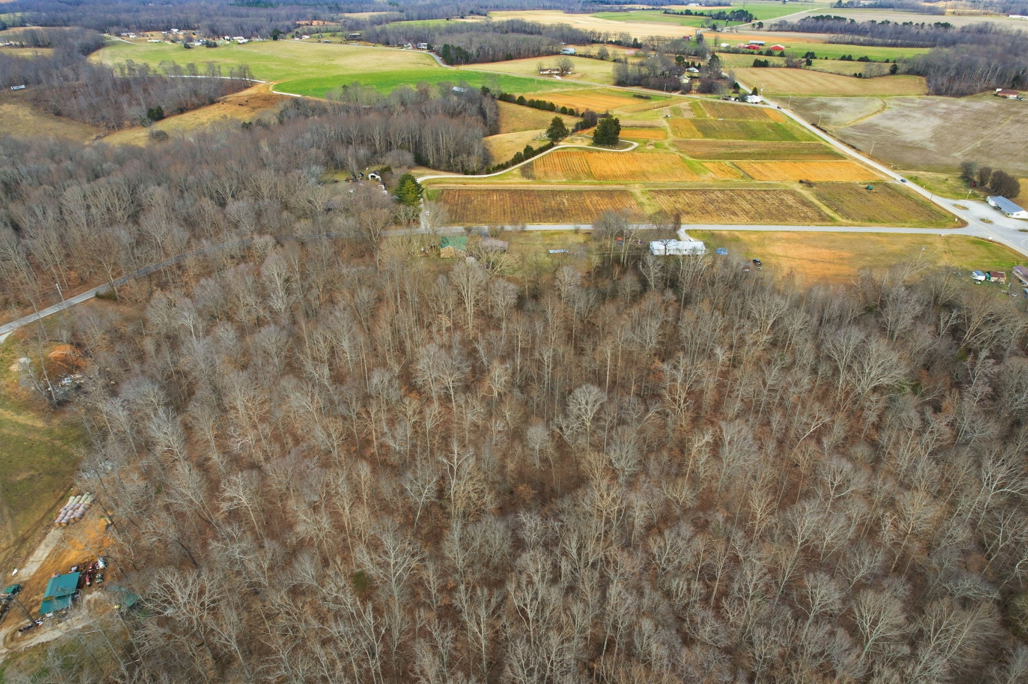 0 Farris Creek Bridge Road Belvidere, TN 37306 - Photo 16 of 21