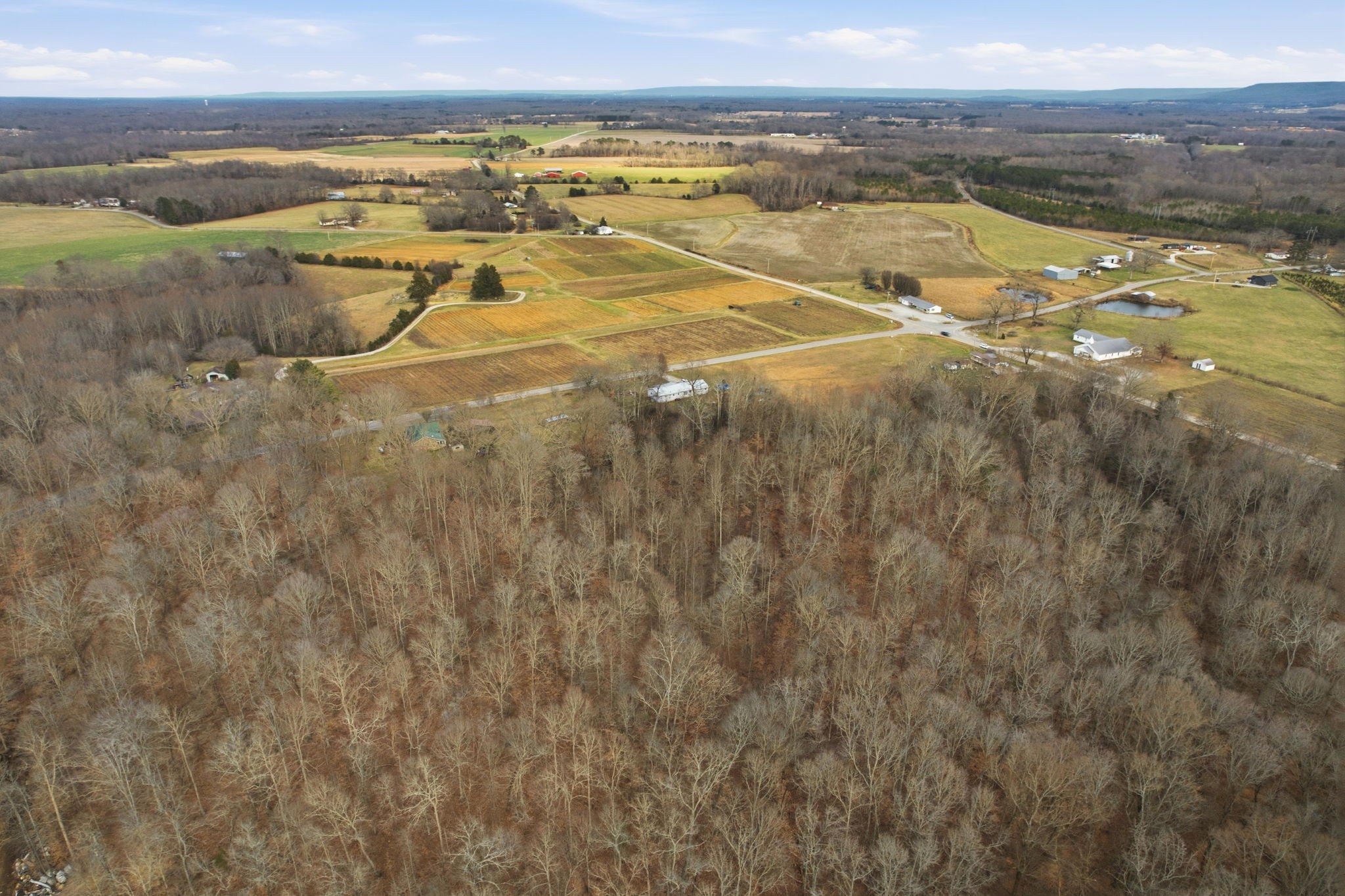 0 Farris Creek Bridge Road Belvidere, TN 37306 - Photo 21 of 21