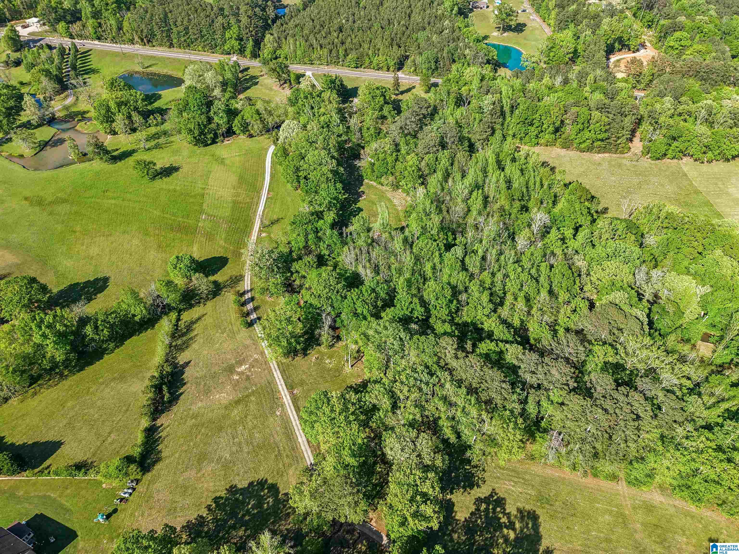 1680 Highway 174 Springville, AL 35146 - Photo 23 of 97